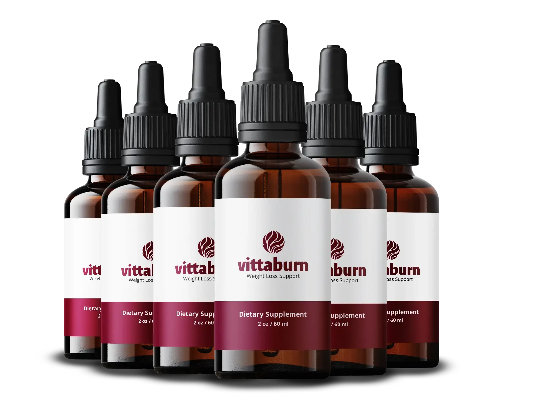  VittaBurn 6 Bottle Package